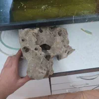 سنگ بزرگ آکواریوم