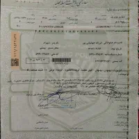 برگ سبز 206بنام جعانیانپورمفقودگردید