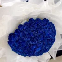 کادو لوکس|گل و گیاه طبیعی|محمدیه-قزوین, |دیوار