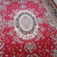 فرش|فرش|شیراز, شیخ علی چوپان|دیوار