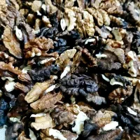 گردو  ونایی|خوردنی و آشامیدنی|اشترینان, |دیوار