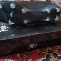 کفش ورزشی