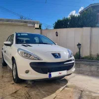 207 پاناروما 1402 بی رنگ بی ضربه