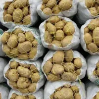 سیب زمینی فقط کیلویی ۲۹