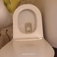 فرنگی دیاموند گلسار