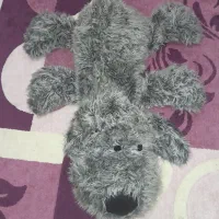 سگ بزرگ ۱و نیم متری سالم تمیز قیمت پایین