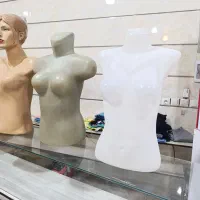 مانکن دبه ای فقط 40 هزار تومان|فروشگاه و مغازه|همدان, |دیوار