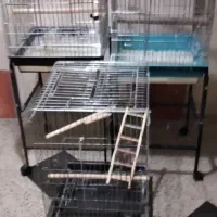 قفس پرنده
