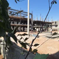 استخدام کارگر ساختمانی