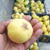 به محلی بوانات (بونات)