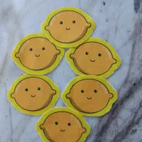 استیکر لباس