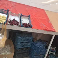 میز میوه