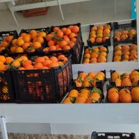 وسایل میوه فروشی|فروشگاه و مغازه|خمیر, |دیوار