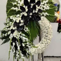 کد68 بازارکل تاجگل اقتصادی دسته گل پرداخت درمحل|گل و گیاه طبیعی|تهران, شهرک محلاتی|دیوار
