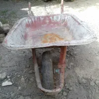 فرغون