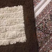 دو عدد پادری|پادری|کرمانشاه, |دیوار