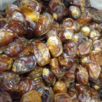 خرما برحی ابادان|خوردنی و آشامیدنی|قم, یزدان‌شهر|دیوار