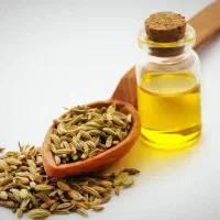 اموزش طب سنتی ،انلاین