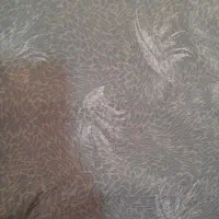 چادر مجلسی|لباس|کرمان, |دیوار