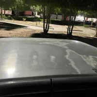 پژو 405 مدل ۹۵|خودرو سواری و وانت|بندرعباس, |دیوار