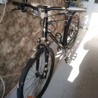 جاینت سایپرس 2 Giant cypress 2