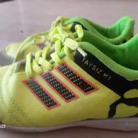 کفش سالنی و اسپرت