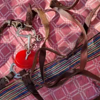 زین اسب|اسب و تجهیزات اسب‌سواری|کرمان, |دیوار