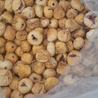 فروش انجیر