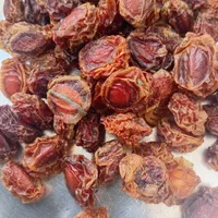آلوچه خورشتی