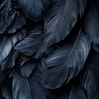 مرغ عشق پیدا شده