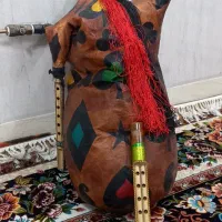نی انبان