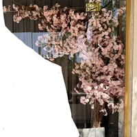 درختچه گل|گل مصنوعی|ارومیه, |دیوار