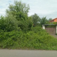 جردن-بهترین-فرعی