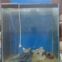 آکواریم و کف کش