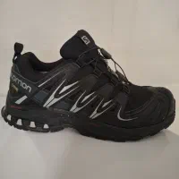 کفش سالامون