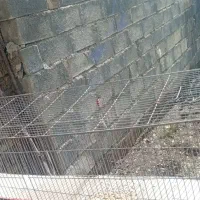 قفس پرنده|لوازم جانبی حیوانات|جوانرود, |دیوار