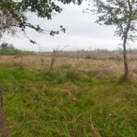 21000هزار متر خانه محوطه بر آسفالته بی نظیر|فروش خانه و ویلا|احمدسرگوراب, |دیوار