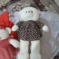 خرس ولنتاین