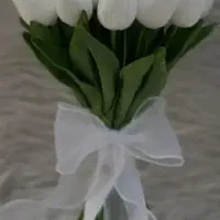 لاله شیپوری