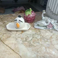 پاسماوری|ظروف نگهدارنده، پلاستیکی، یکبارمصرف|مشهد, موعود|دیوار