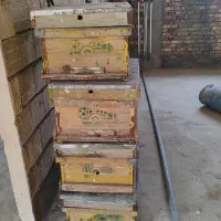 فروش کندوی زنبور عسل|ابزارآلات|جلفا, |دیوار