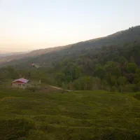 فروش زمین ۱۴۶۹ متری