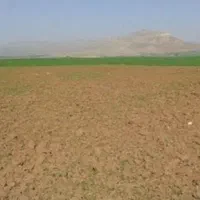 زمین-دیم-یک-هکتار
