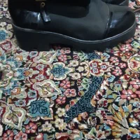 کفش|کیف، کفش، کمربند|همدان, |دیوار