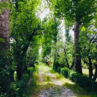 فروش-بک-قطعه-زمین-2500-متری
