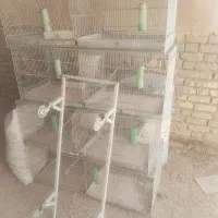 قفس ۸خان جوجه پرون|لوازم جانبی حیوانات|اقلید, |دیوار