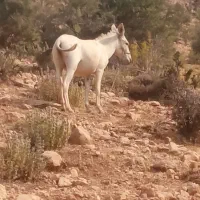 اول بخوانید بعد تماس بگیرید