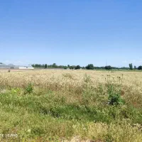 فروش زمین کشاورزی با سند ثبتی