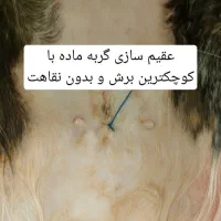 جشنواره عقیم سازی حمایتی درکلینیک دامپزشکی دامپزشک|خدمات آرایشگری و زیبایی|کرج, جهان‌شهر|دیوار
