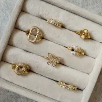 بدلیجات رز